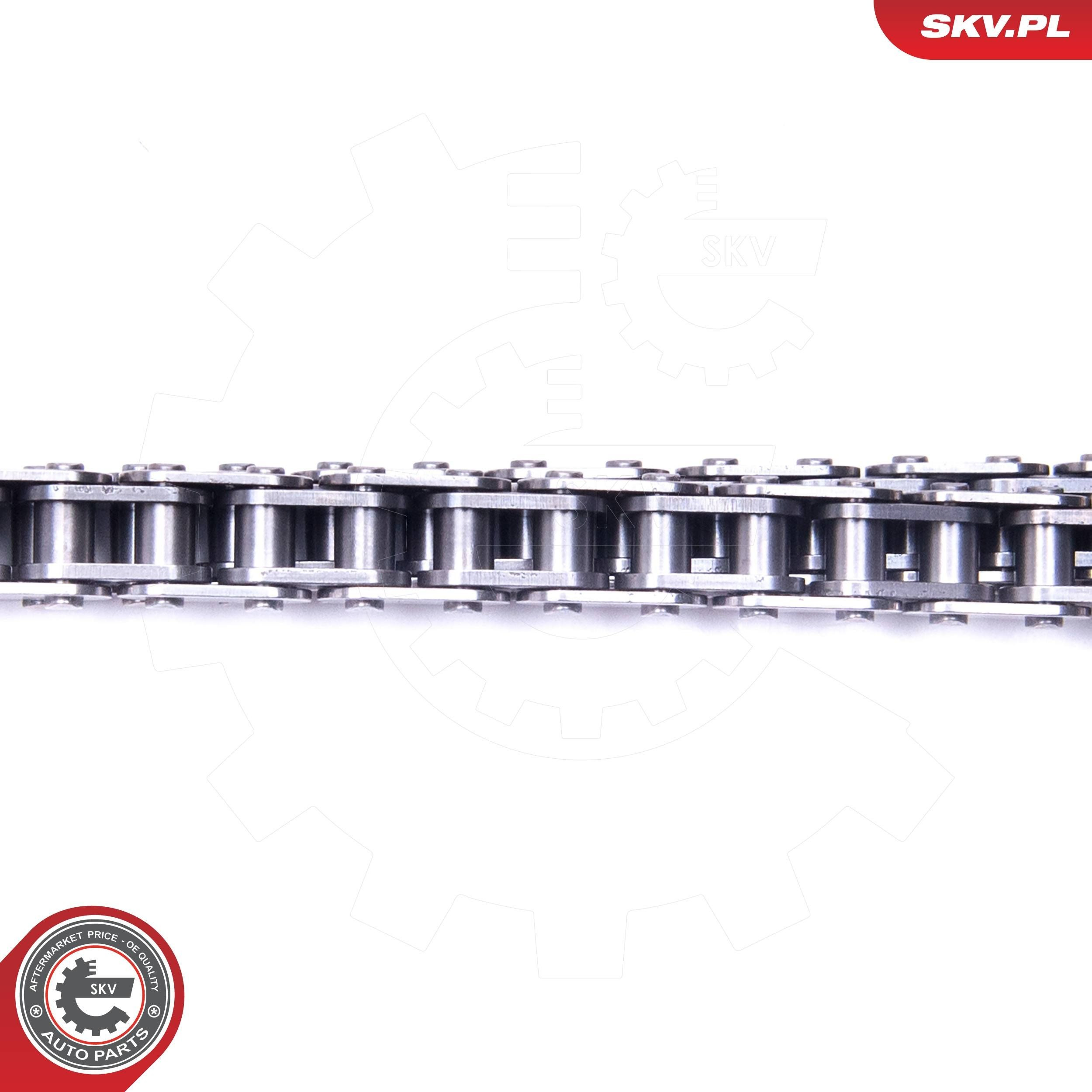 21SKV117 SKV